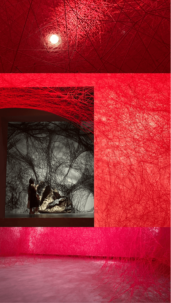 《生根的记忆》